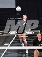 Photo from the gallery "Bauxite @ Camden Fairview"