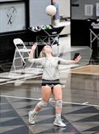 Photo from the gallery "Bauxite @ Camden Fairview"