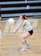 Photo from the gallery "Bauxite @ Camden Fairview"