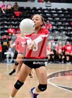 Photo from the gallery "Bauxite @ Camden Fairview"