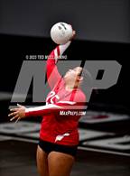 Photo from the gallery "Bauxite @ Camden Fairview"