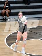 Photo from the gallery "Bauxite @ Camden Fairview"