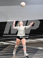 Photo from the gallery "Bauxite @ Camden Fairview"