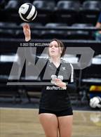 Photo from the gallery "Bauxite @ Camden Fairview"