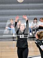 Photo from the gallery "Bauxite @ Camden Fairview"