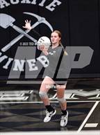 Photo from the gallery "Bauxite @ Camden Fairview"