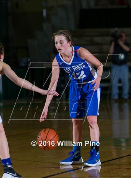 Thumbnail 3 in Fort Edward vs. Panama (NYSPHSAA Class D Semifinal) photogallery.
