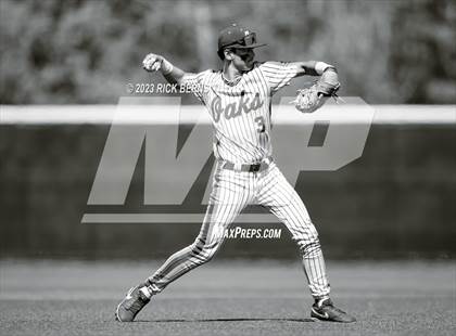 Thumbnail 1 in Grand Oaks vs Willis photogallery.