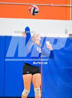 Photo from the gallery "San Diego @ Clairemont"