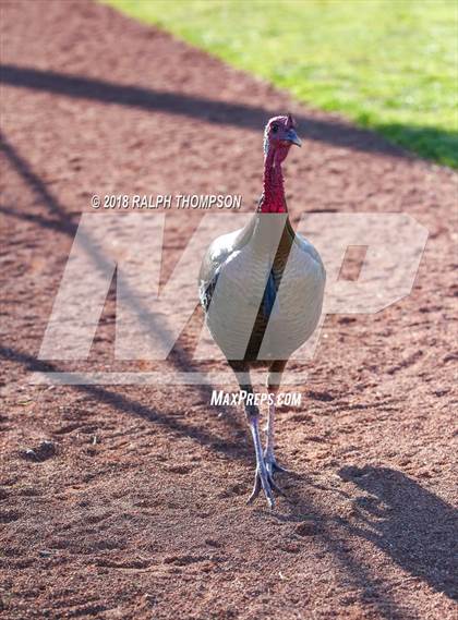 Thumbnail 1 in Casa Grande vs. St. Mary's (Boras Classic North Bracket Rd 1) photogallery.