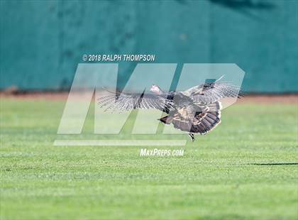 Thumbnail 2 in Casa Grande vs. St. Mary's (Boras Classic North Bracket Rd 1) photogallery.