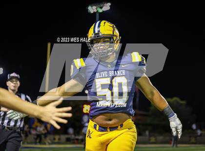 Thumbnail 3 in DeSoto Central @ Olive Branch photogallery.