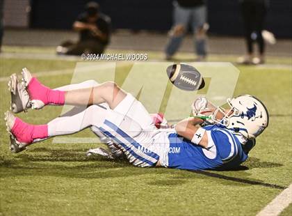 Thumbnail 2 in Springdale @ Rogers photogallery.
