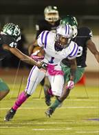 Photo from the gallery "Paschal @ Arlington"