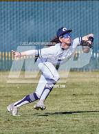 Photo from the gallery "Pioneer @ Casa Roble"