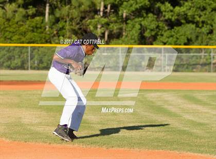Thumbnail 2 in Plant City @ Spoto photogallery.