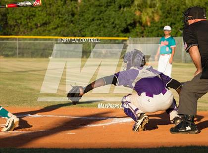Thumbnail 3 in Plant City @ Spoto photogallery.