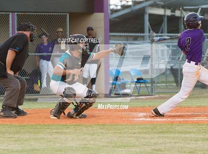 Thumbnail 2 in Plant City @ Spoto photogallery.