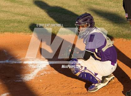 Thumbnail 3 in Plant City @ Spoto photogallery.