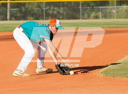 Thumbnail 1 in Plant City @ Spoto photogallery.