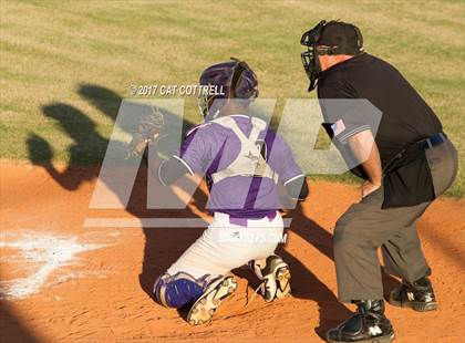 Thumbnail 1 in Plant City @ Spoto photogallery.
