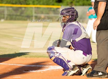 Thumbnail 2 in Plant City @ Spoto photogallery.