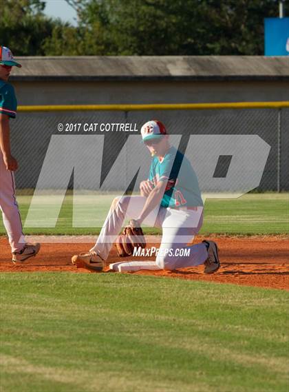 Thumbnail 3 in Plant City @ Spoto photogallery.