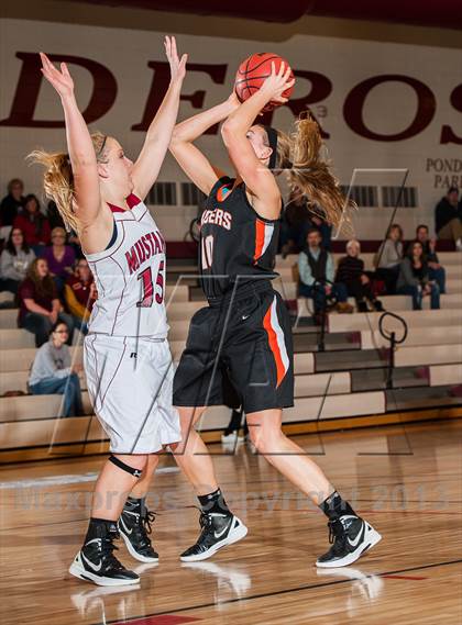 Thumbnail 3 in Lewis-Palmer @ Ponderosa photogallery.