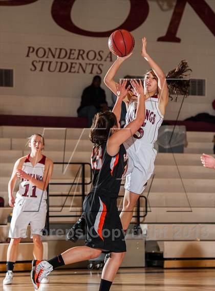 Thumbnail 3 in Lewis-Palmer @ Ponderosa photogallery.