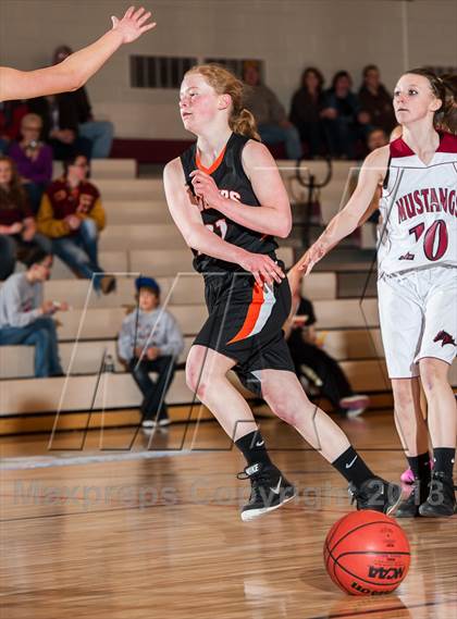 Thumbnail 3 in Lewis-Palmer @ Ponderosa photogallery.