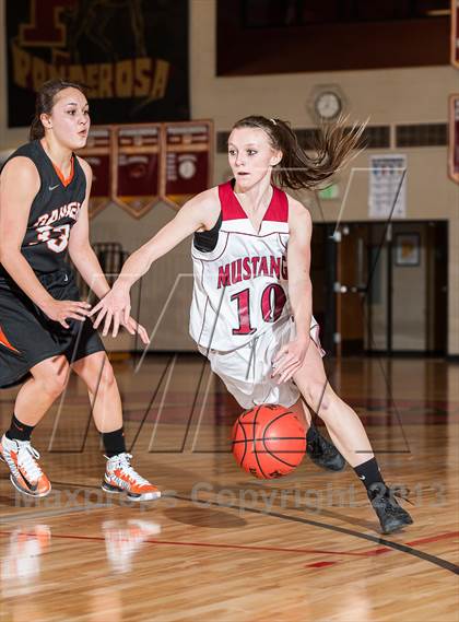 Thumbnail 3 in Lewis-Palmer @ Ponderosa photogallery.