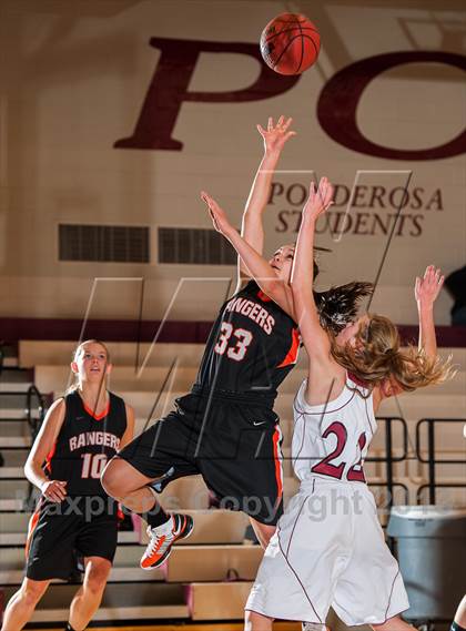 Thumbnail 1 in Lewis-Palmer @ Ponderosa photogallery.