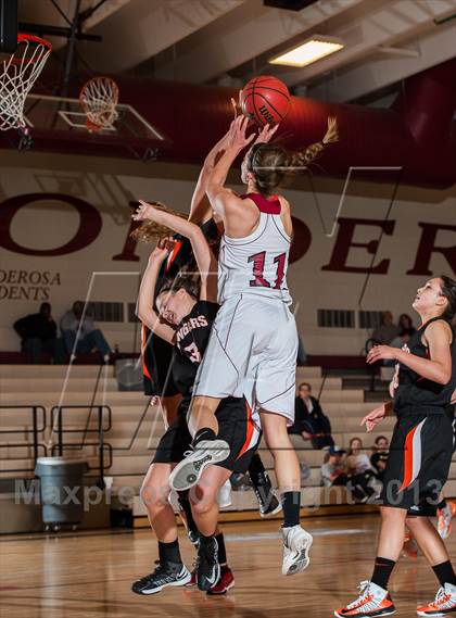 Thumbnail 3 in Lewis-Palmer @ Ponderosa photogallery.
