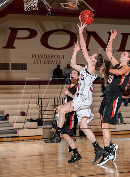 Thumbnail 3 in Lewis-Palmer @ Ponderosa photogallery.