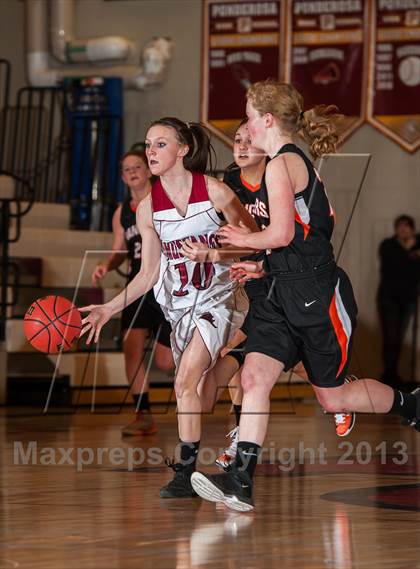 Thumbnail 1 in Lewis-Palmer @ Ponderosa photogallery.