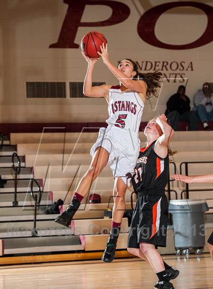 Thumbnail 3 in Lewis-Palmer @ Ponderosa photogallery.