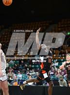 Photo from the gallery "Windsor vs. Lewis-Palmer (CHSAA 5A Great 8)"