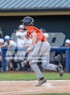 Photo from the gallery "West Albany @ Silverton"