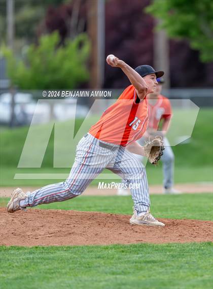 Thumbnail 3 in West Albany @ Silverton photogallery.