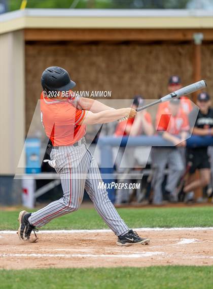 Thumbnail 3 in West Albany @ Silverton photogallery.