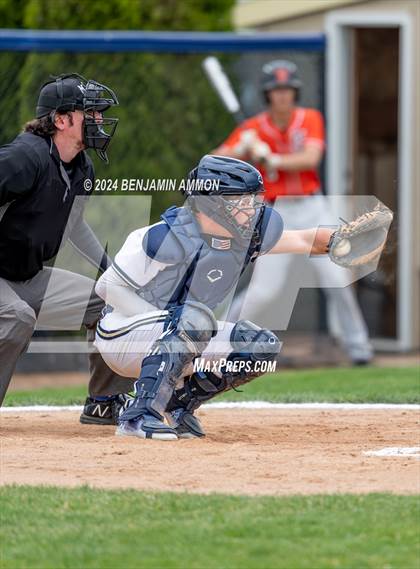 Thumbnail 1 in West Albany @ Silverton photogallery.