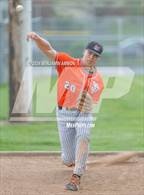 Photo from the gallery "West Albany @ Silverton"