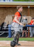 Photo from the gallery "West Albany @ Silverton"