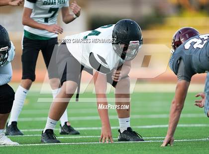 Thumbnail 3 in FR: Cedar Park @ A&M Consolidated photogallery.