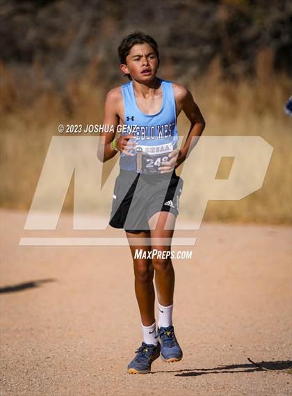 Thumbnail 2 in CHSAA 4A Cross Country Final photogallery.