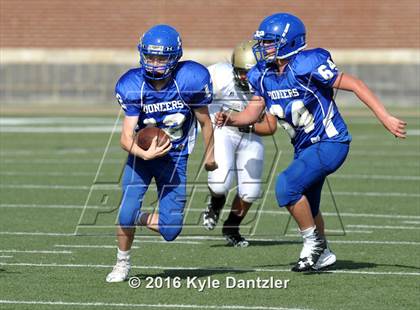 Thumbnail 1 in Boswell Gold @ Birdville Green photogallery.