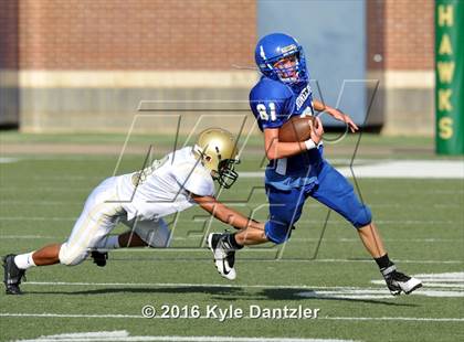 Thumbnail 3 in Boswell Gold @ Birdville Green photogallery.
