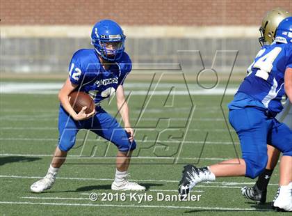 Thumbnail 2 in Boswell Gold @ Birdville Green photogallery.