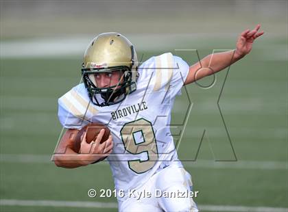 Thumbnail 1 in Boswell Gold @ Birdville Green photogallery.