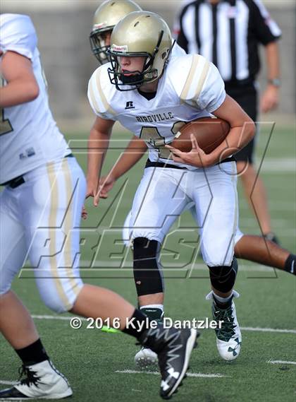 Thumbnail 1 in Boswell Gold @ Birdville Green photogallery.